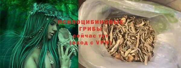 шишки Покров