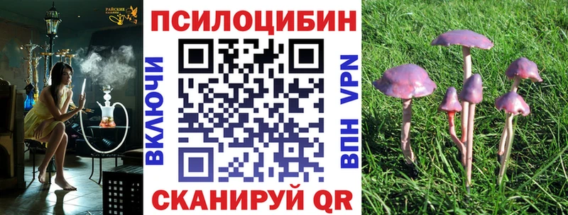 Галлюциногенные грибы Psilocybe  Ипатово 