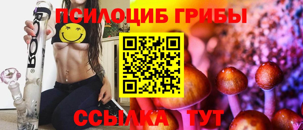 Псилоцибиновые грибы Cubensis  Вход с VPN  Ипатово 