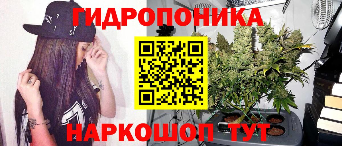 Бошки Шишки Amnesia Ипатово